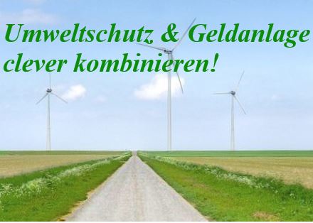 (c) Umwelt-investments.de