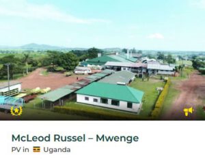 Investmentchance ecoligo: McLeod Russel - Mwenge, Uganda. Quelle & ©: ecoligo